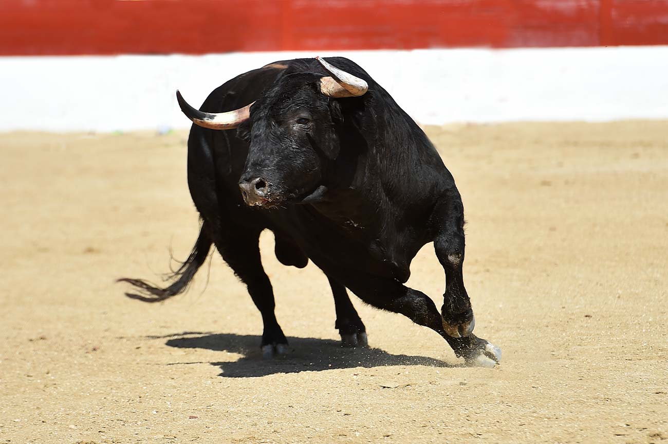 cuanto-dura-corrida-de-toros