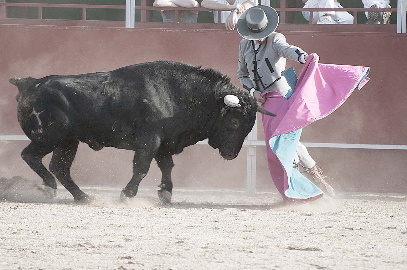 feria-de-valdemorillo