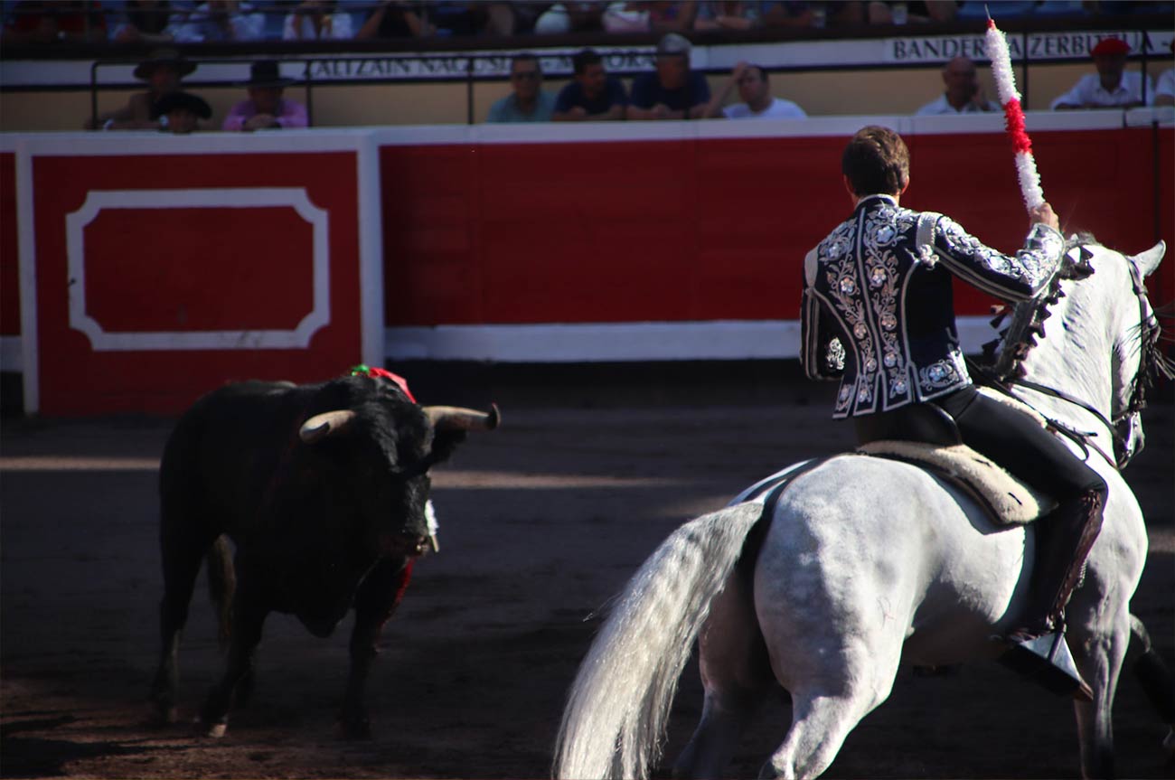 Cuáles son los mejores asientos en Plaza de toros Las Ventas?