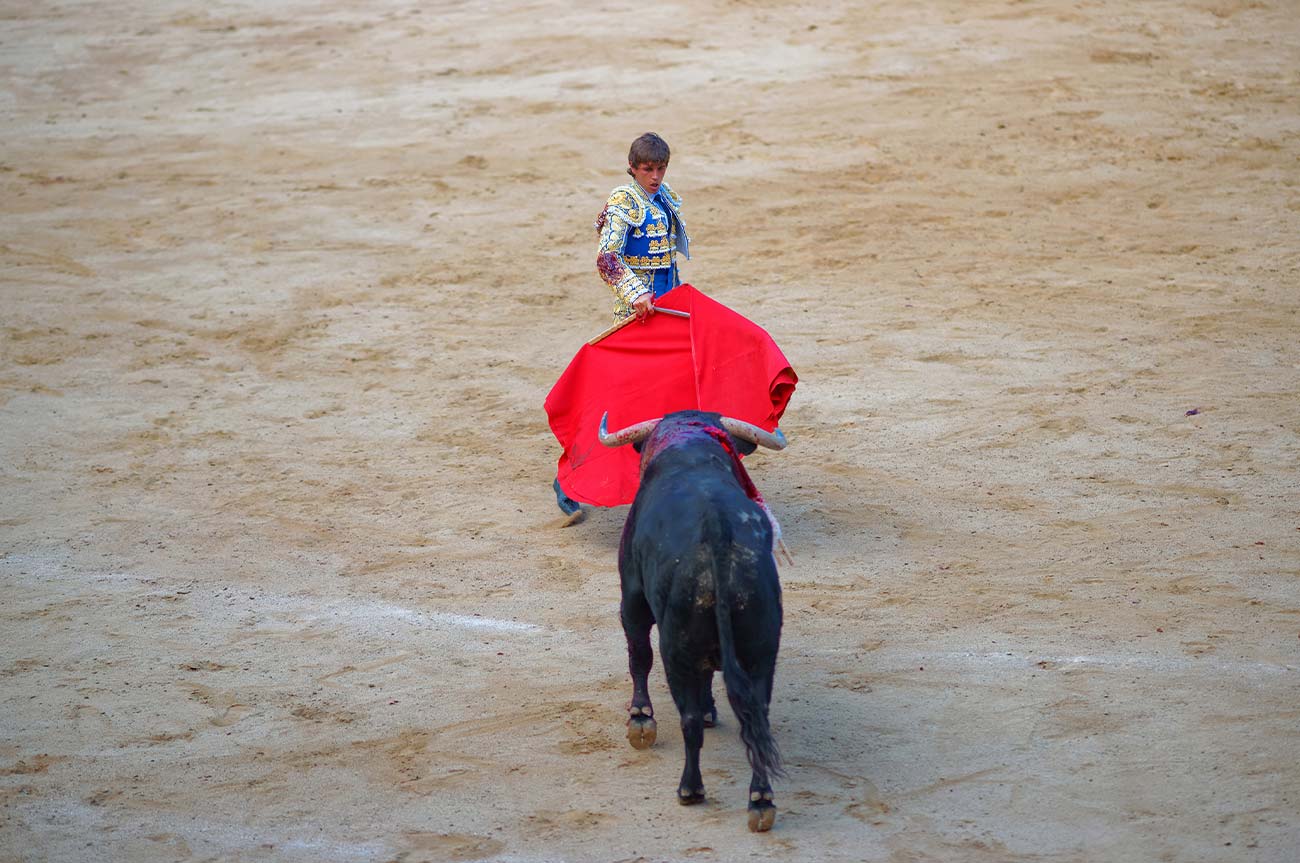 ruedo-de-las-ventas