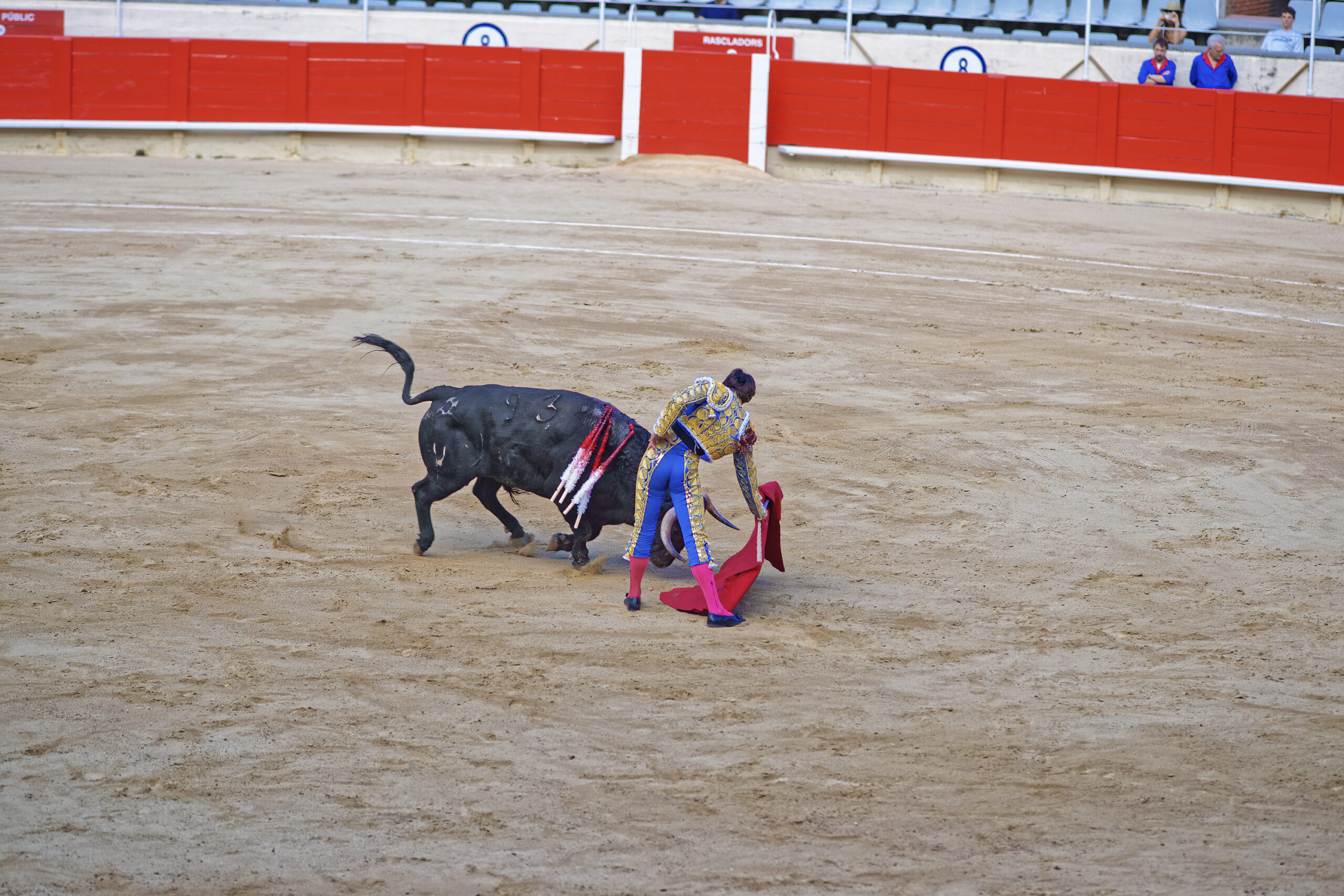 encastes-san-isidro