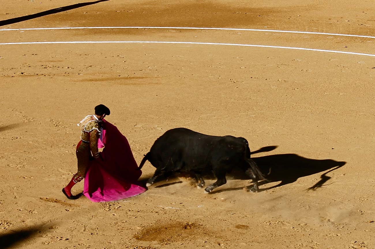 vivir-corrida-toros-